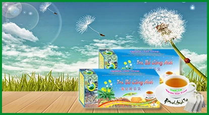 Trà Bồ Công Anh